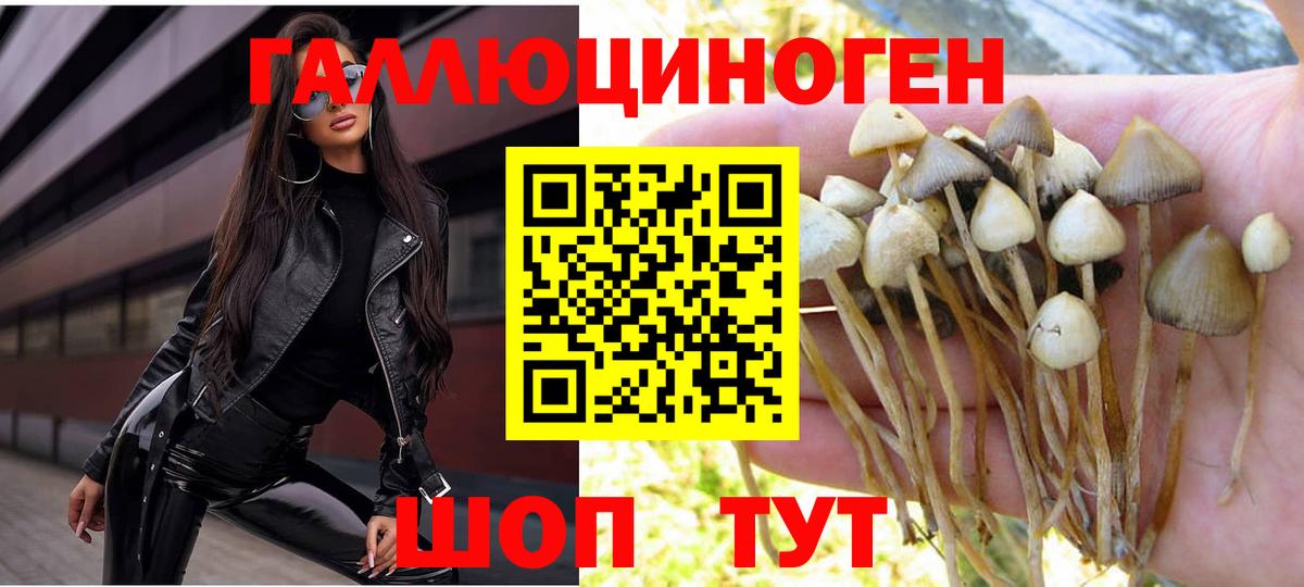 Псилоцибиновые грибы GOLDEN TEACHER Первоуральск