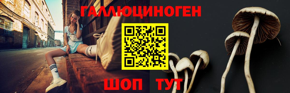 Псилоцибиновые грибы GOLDEN TEACHER  Вход с VPN  Первоуральск 